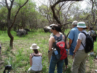 Rhino Tracking at Ziwa Rhino Sanctuary Uganda photo by David Hamill