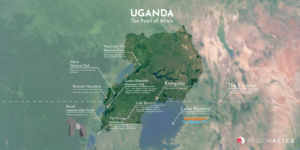 Rwenzori Mountains National Park - Uganda