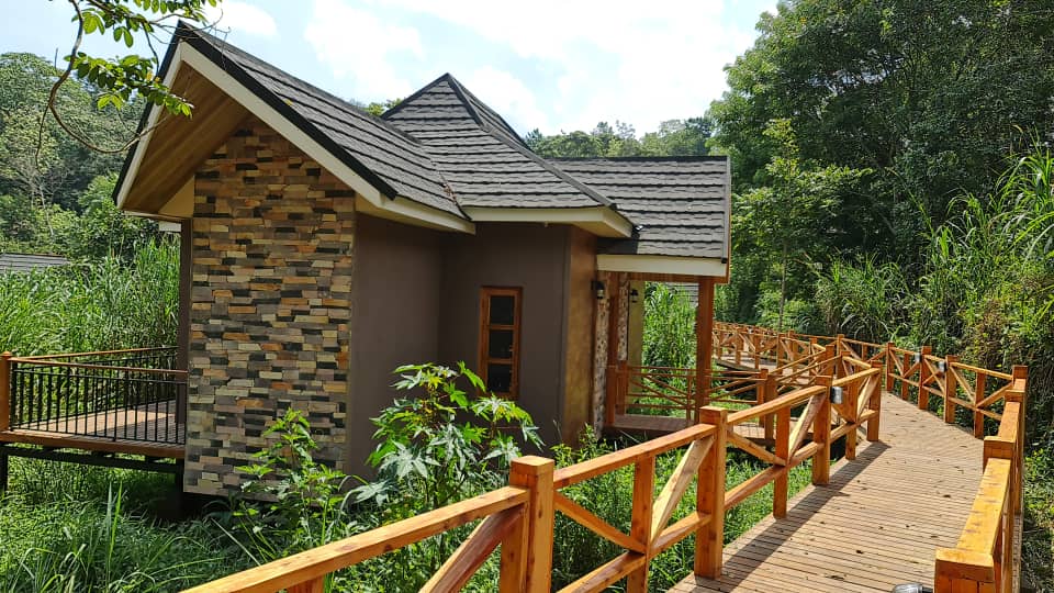 Chimpundu Lodge guest cottage Kibale forest national park