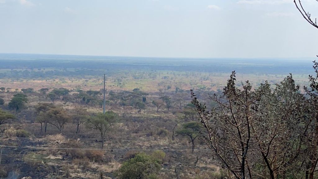 pictures of other areas in the queen elizabeth national park that got burnt by fire photo by Solomon M Oleny