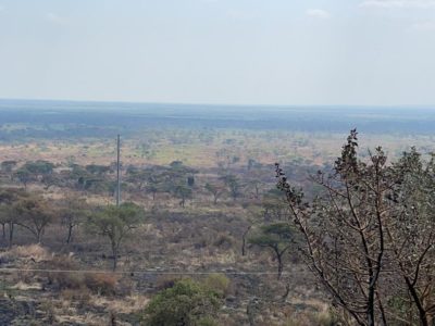pictures of other areas in the queen elizabeth national park that got burnt by fire photo by Solomon M Oleny