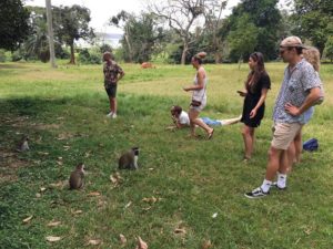 Guided bike trip in Entebbe clients at Botanial Garden day cycling tours by Bike2Go Entebbe