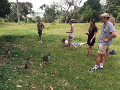 Guided bike trip in Entebbe clients at Botanial Garden day cycling tours by Bike2Go Entebbe