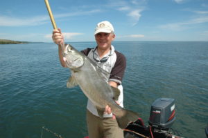 Nile Perch From Lake Victoria, Uganda Photography by uskgrub