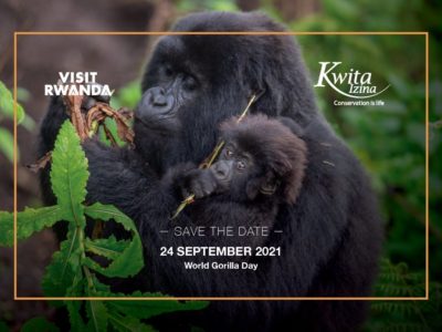 Rwanda Development Board announces the 17th edition of Kwita izina ceremony will take place on 24 September 2021 on World Gorilla Day