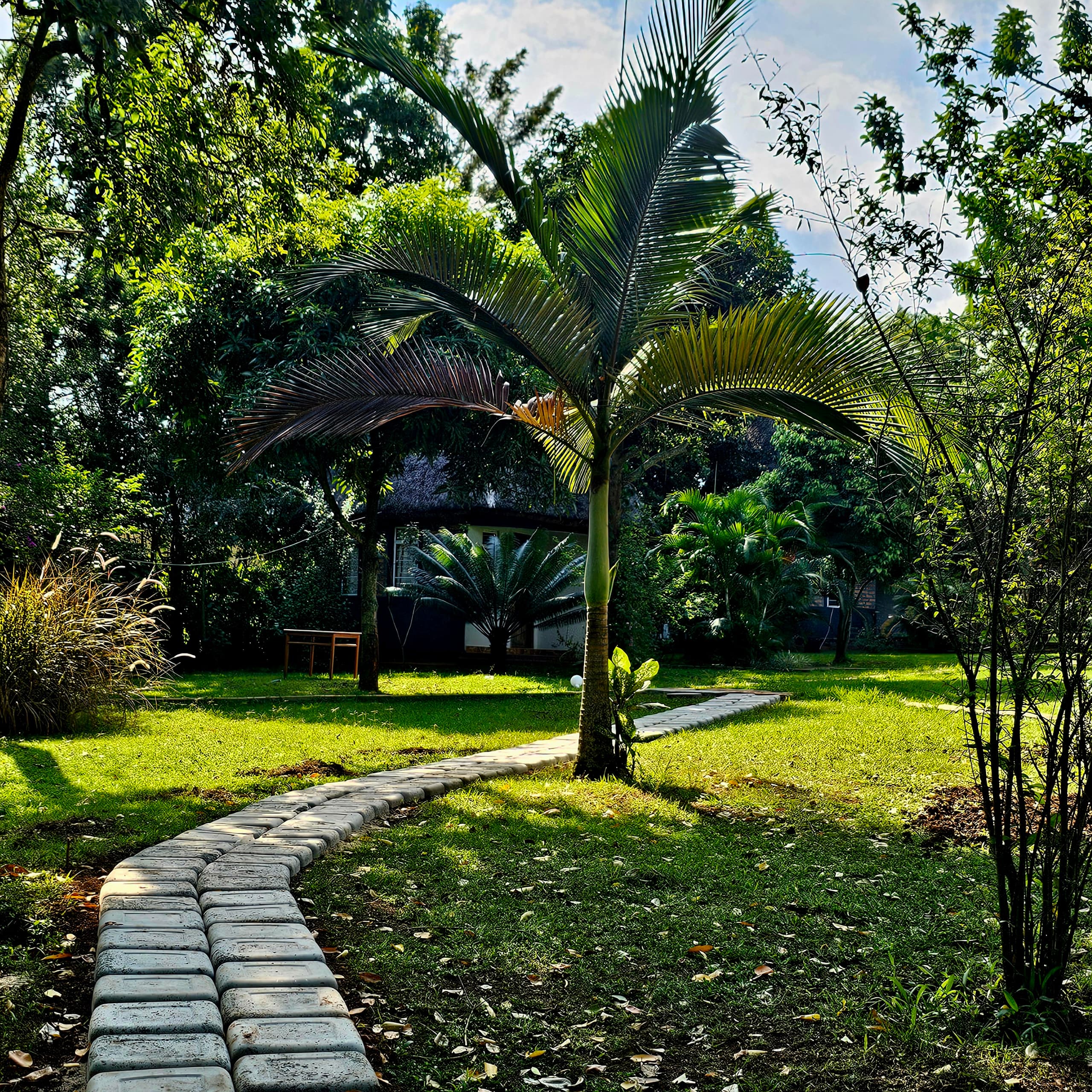 Exterior View Photo Tusubira Village Cottages Hotel Jinja Uganda Eastern Region 1