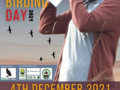 The Big Bird Day Saturday 4th December 2021