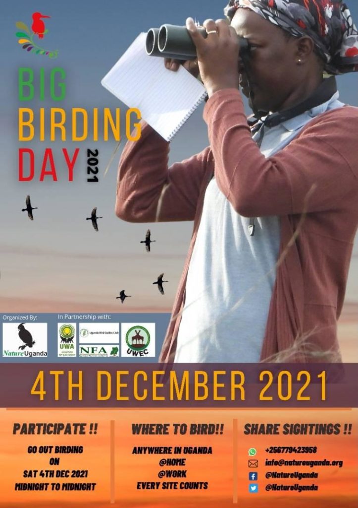 The Big Bird Day Saturday 4th December 2021