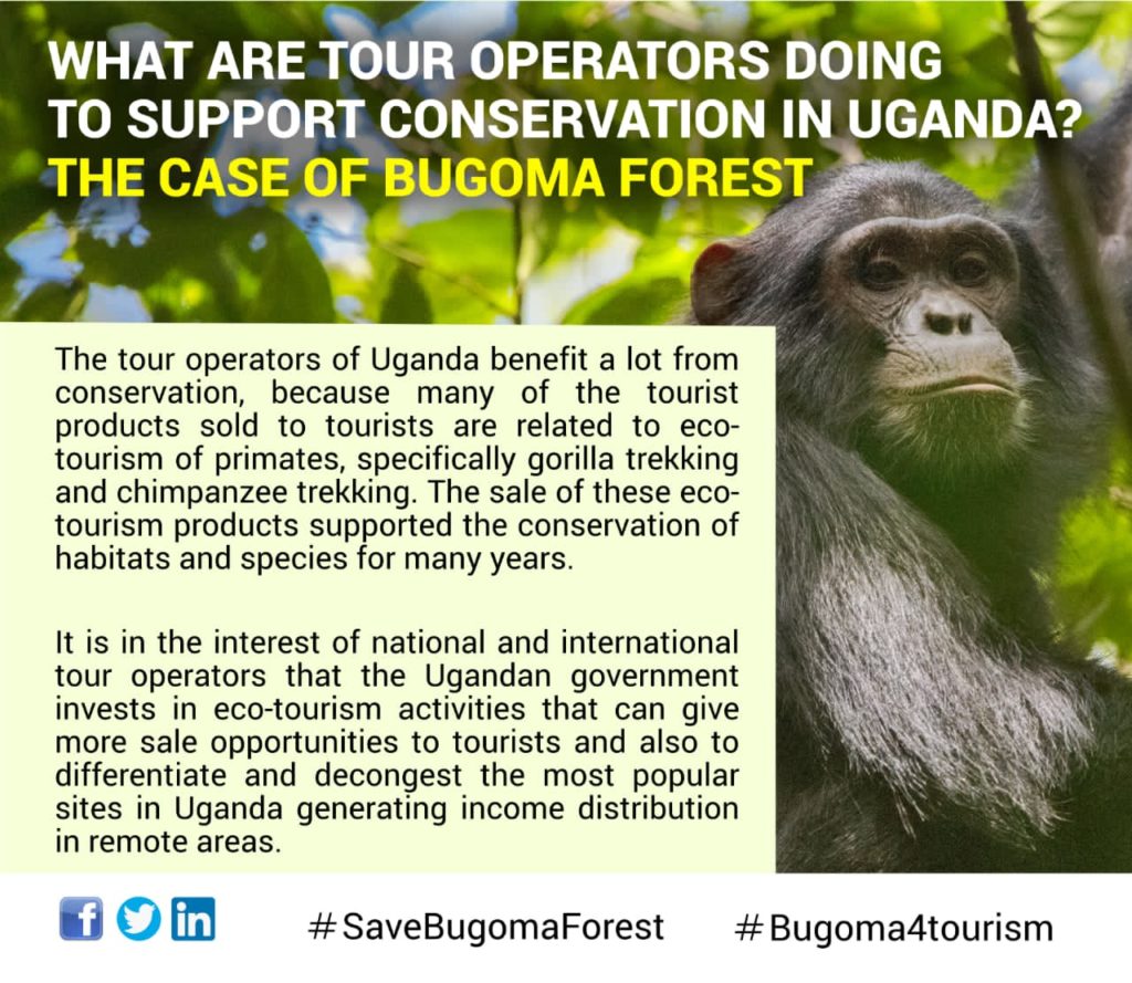 Jane Goodall Institute Uganda on Twitter Save Bugoma Forest Bugoma4tourism Campaign