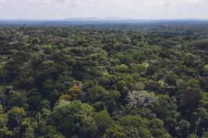 Aerial view of the Bugoma Forest Reserve in the Bunyoro Sub-region in Western Uganda