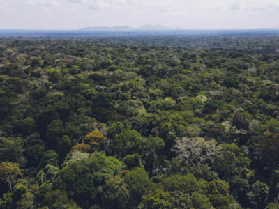 Aerial view of the Bugoma Forest Reserve in the Bunyoro Sub-region in Western Uganda