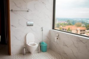 Toilet and Bathroom Photo