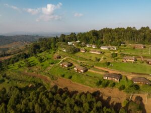 Nature Photo Arcadia Lodges Lake Bunyonyi Kabale, Uganda Central Region