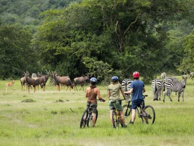 Cycling Safari Photo Arcadia Lodge Hotel Lake Mburo National Park Uganda Western Region