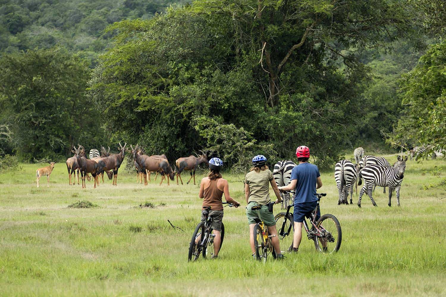 Cycling Safari Photo Arcadia Lodge Hotel Lake Mburo National Park Uganda Western Region