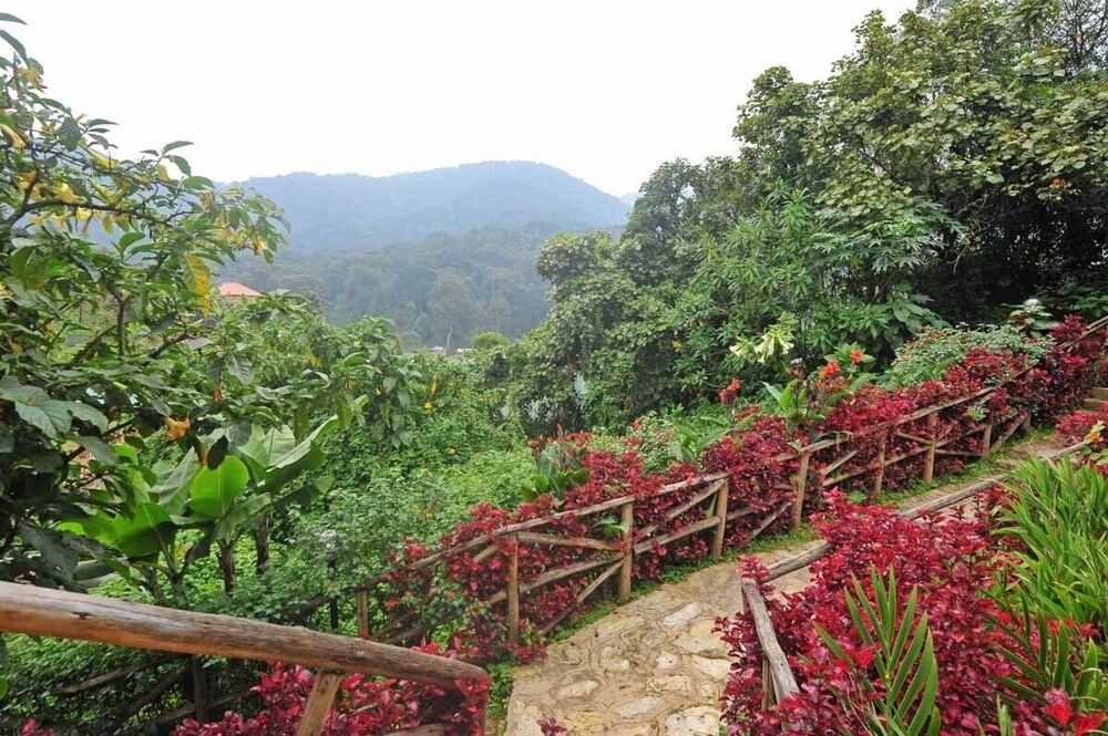 Exterior photo Gorilla Safari Lodge Bwindi Rushaga Western Region Uganda