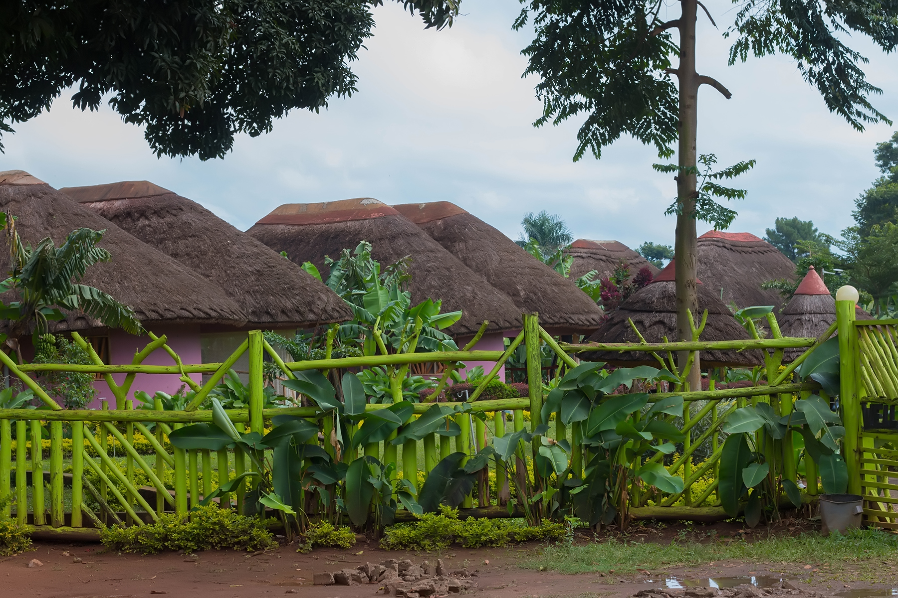 Back of the property photo Hoima Cultural Lodge Hoima Uganda Western Region