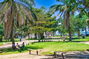 Gardens and Beach Sand Beach Nabugabo Masaka Nabugabo (2)