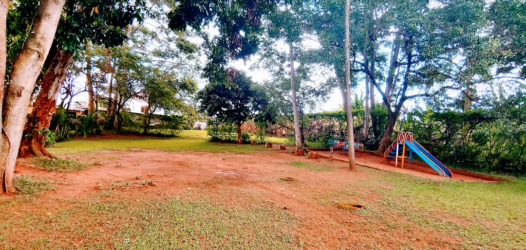 Forest photo Banana Village Eco Retreat Entebbe, Uganda Central Region