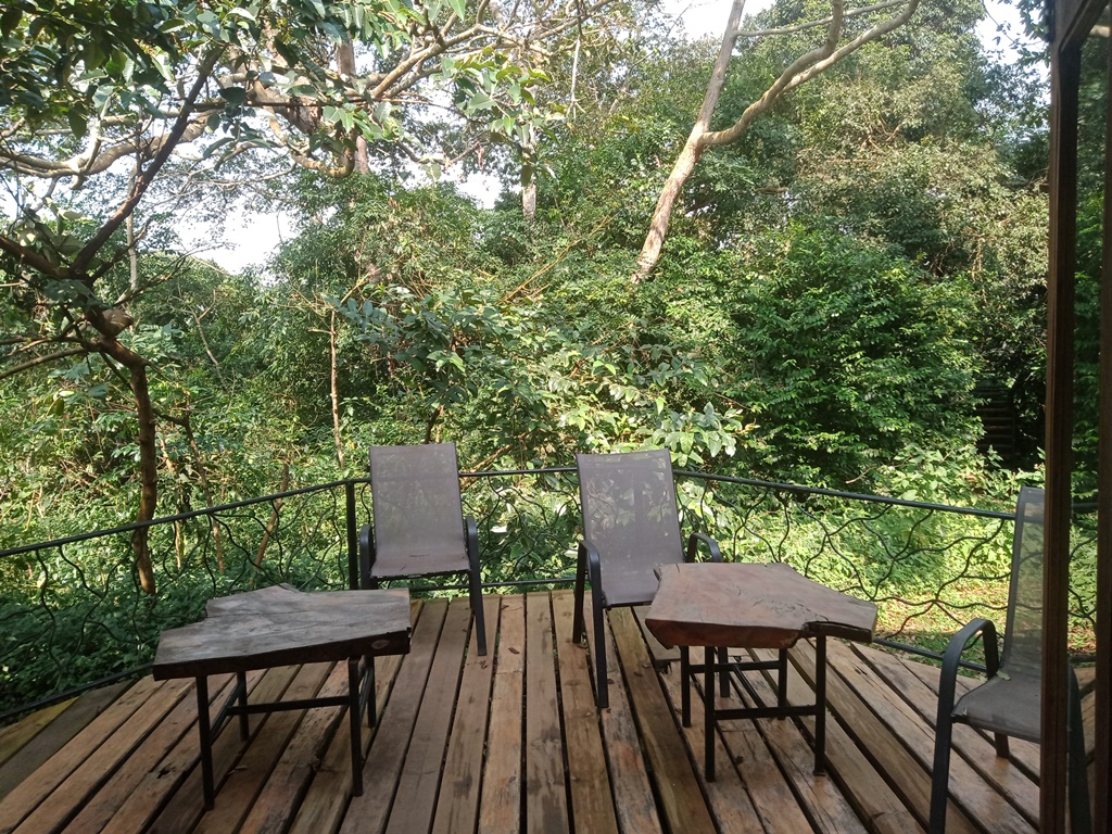 Forest balcony Photo Nkima Forest Lodge Entebbe, Uganda Central Region