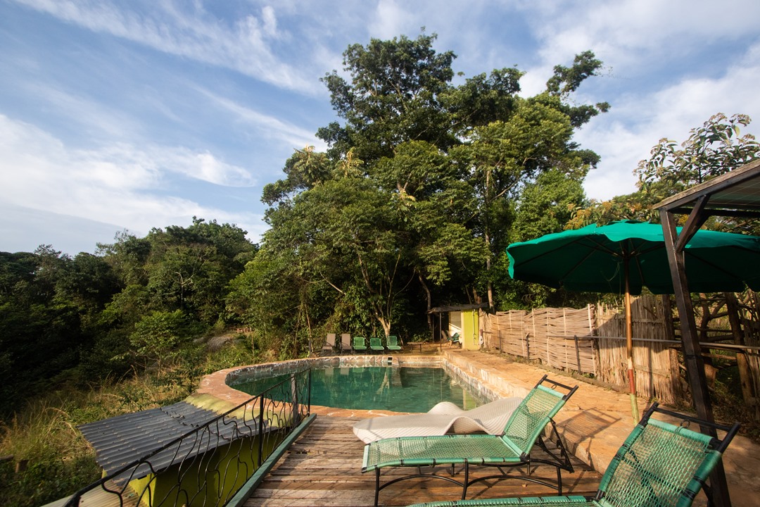 Outdoor pool Photo Nkima Forest Lodge Entebbe, Uganda Central Region