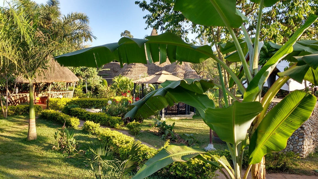 Gardens photo Malakai Eco Lodge, Kitende Entebbe, Uganda Central region