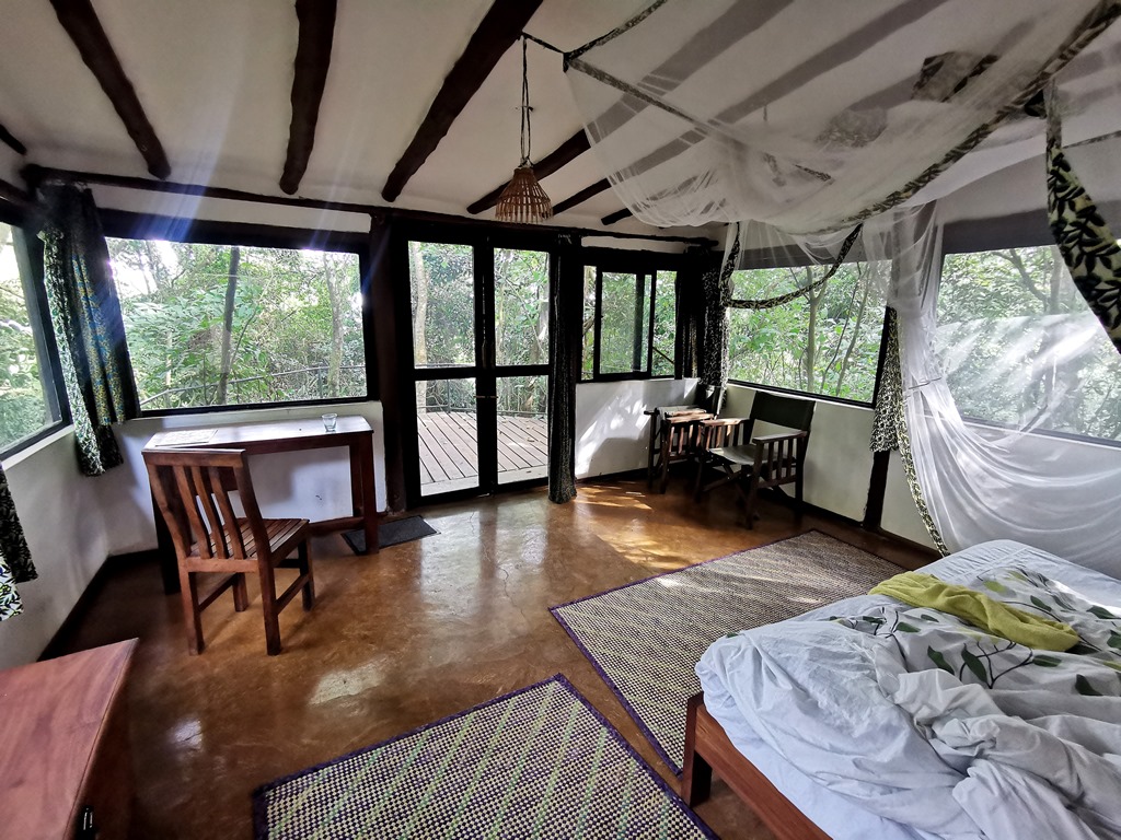 Family Bedroom Photo Nkima Forest Lodge Entebbe, Uganda Central Region