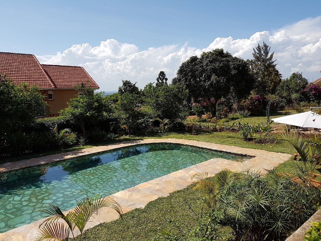 Outdoor swimming pool Photo Pineapple Guest House Entebbe, Guest Houses | Entebbe,Uganda Central Region