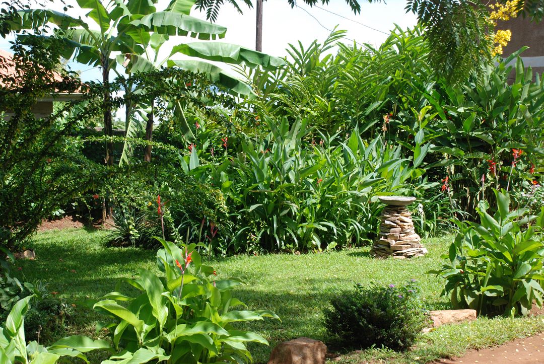 Gardens Photo Alison & Dave's Guest House - Hotels | Entebbe, Uganda Central Region