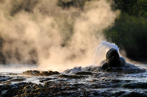 Hot Springs 2 in Semuliki National Park | National Parks, Western Region of Uganda