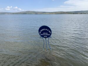 Photograph taken from the Source of the Nile in Jinja, Eastern Uganda during an adventure tour to Jinja
