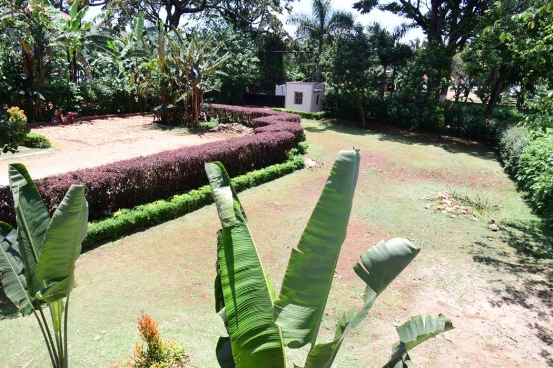 Gardens Photo Golden Cherries Guest House Jinja, Uganda Eastern Region