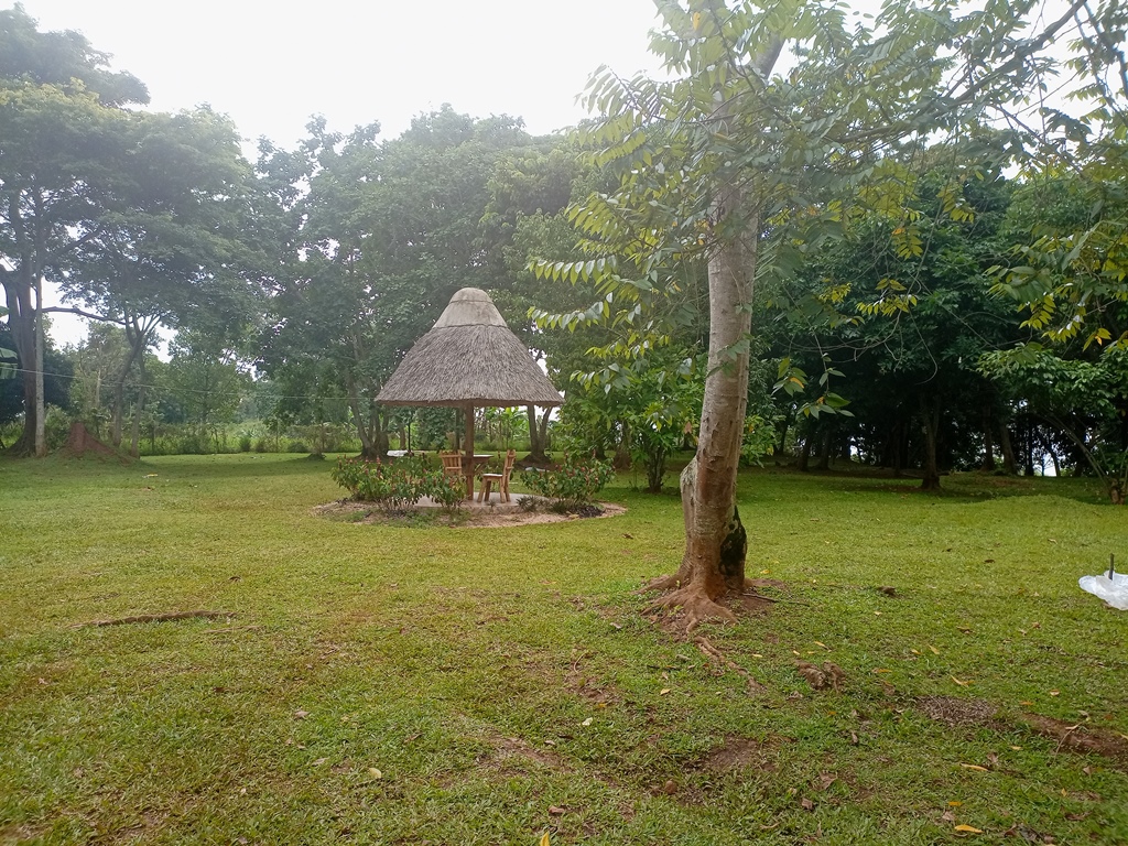 Gardens Photo Banga Bay Beach Resort Mukono Uganda Central Region1