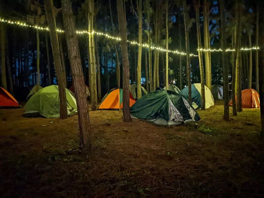 Tents Photo Nyungu Yamawe Forest Park Kampala - Uganda Central Region