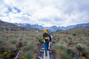 A photograph of a tourist captured during a hiking experience in Rwenzori Mountains National Park in Western Uganda.