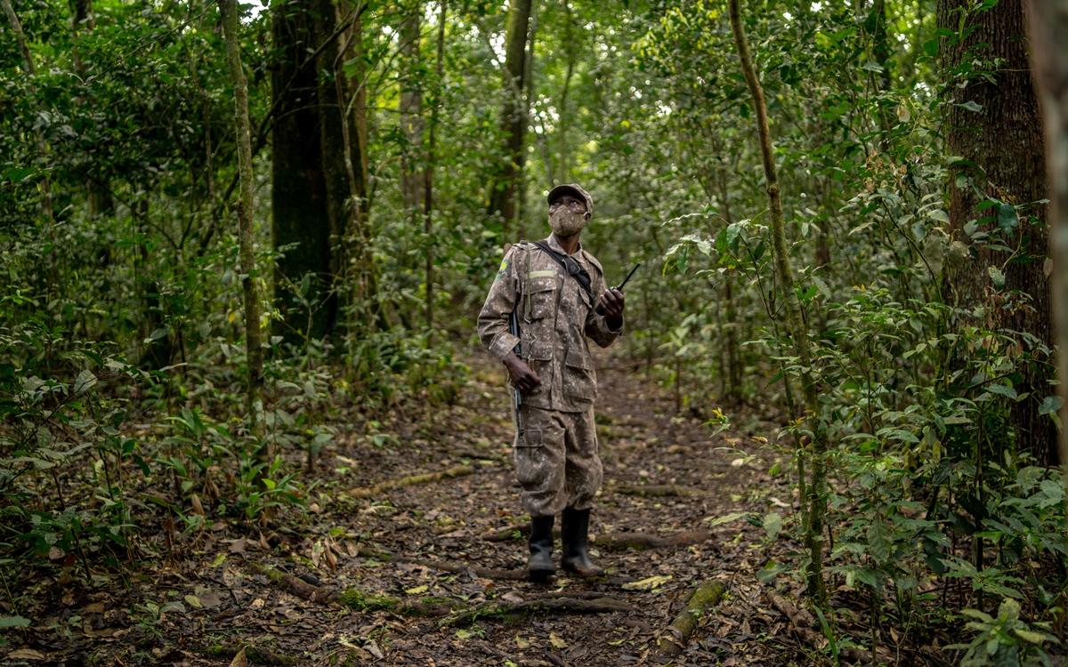 A photograph of a game ranger captured in Kibale National Park in Western Uganda.