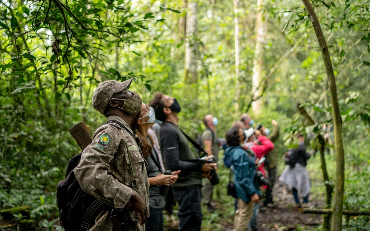 A photograph of tourists with a game ranger on a chimpanzee tracking safari experience in Kibale National Park in Western Uganda.