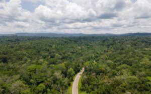 A photograph of an aerial view of Kibale Forest taken in Kibale National Park located in Western Uganda