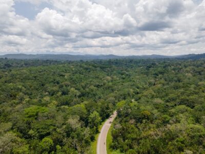 A photograph of an aerial view of Kibale Forest taken in Kibale National Park located in Western Uganda