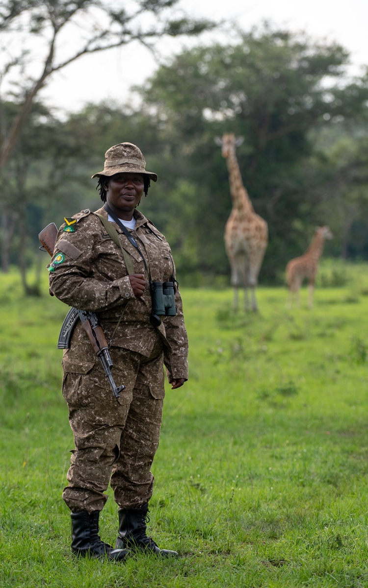 A photograph of a game ranger captured during a game drive in Lake Mburo National Park in Nyabushozi County, Kiruhura District in Uganda.