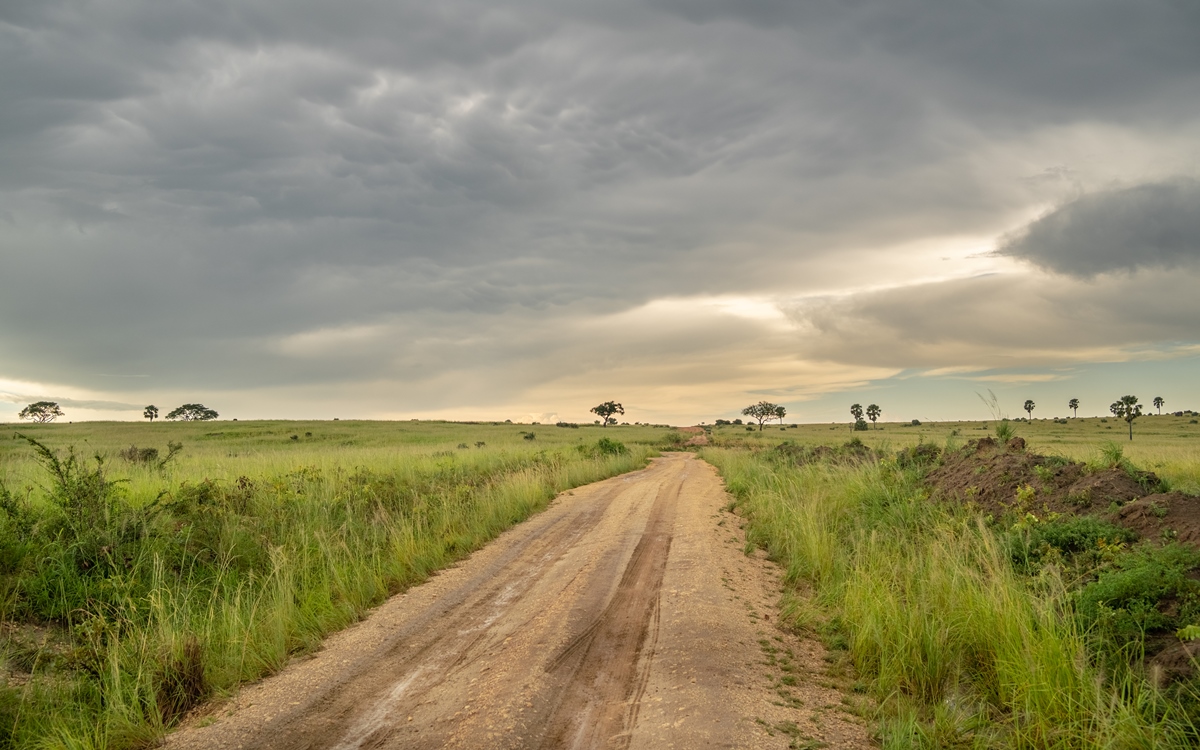 A photo of the murram road captured during a game drive in Murchison Falls National Park in Northern Uganda.