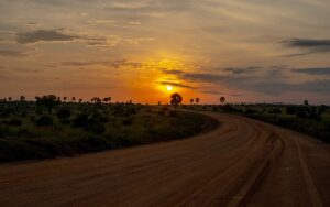 A photo of the African sunset seen on a safari game drive in Murchison Falls National Park in Northern Uganda.