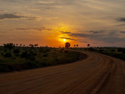 A photo of the African sunset seen on a safari game drive in Murchison Falls National Park in Northern Uganda.