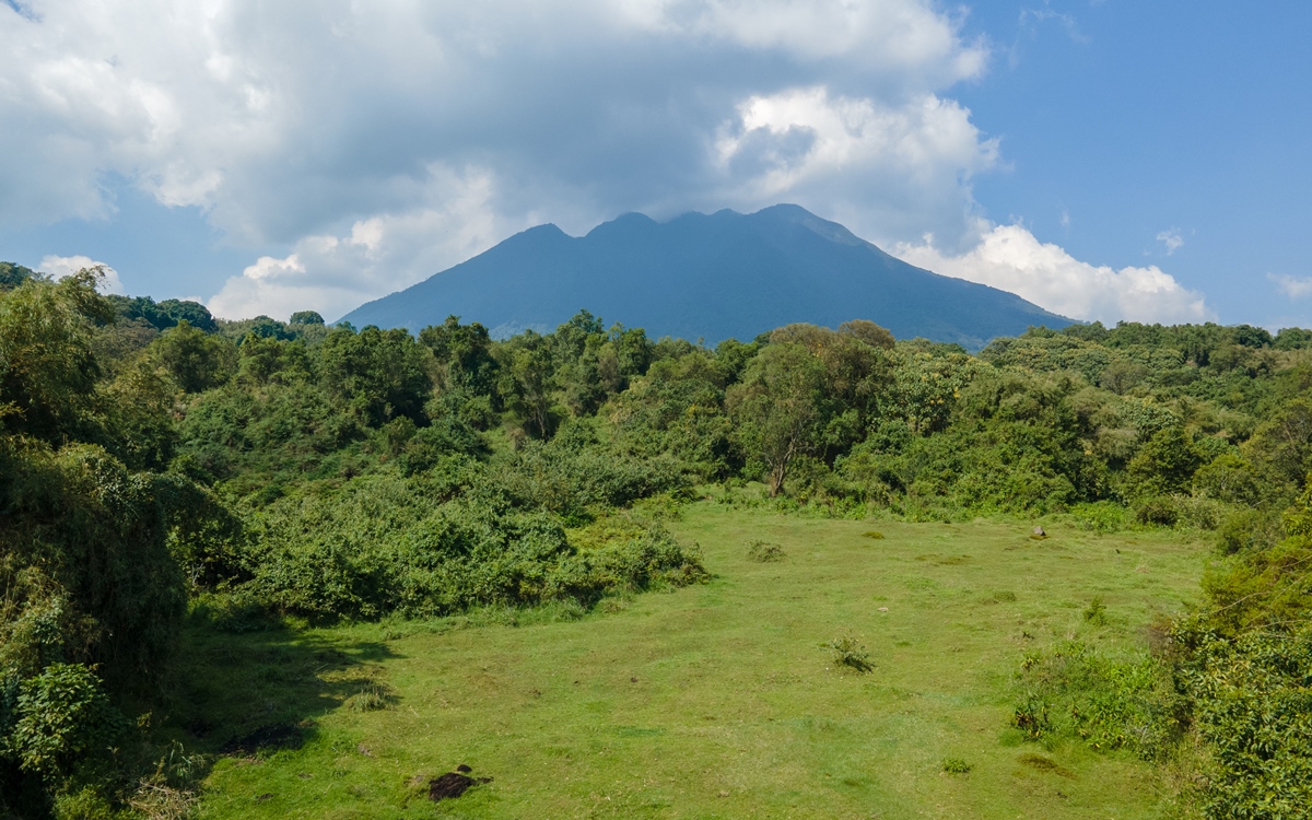 A photograph of the mountain ranges and forest vegetation taken in Mgahinga Gorilla National Park in Kisoro district in South - Western Uganda