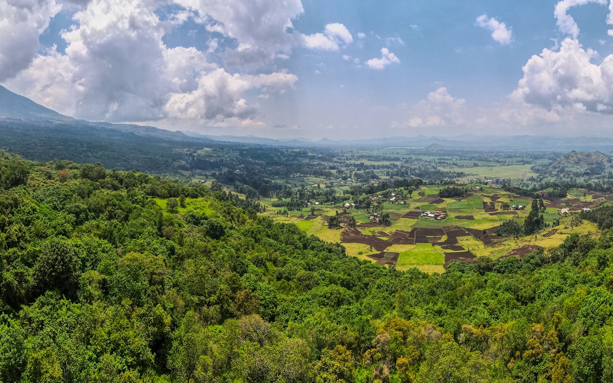 A photograph of an aerial view of the forest vegetation taken in Mgahinga Gorilla National Park in Kisoro district in South - Western Uganda