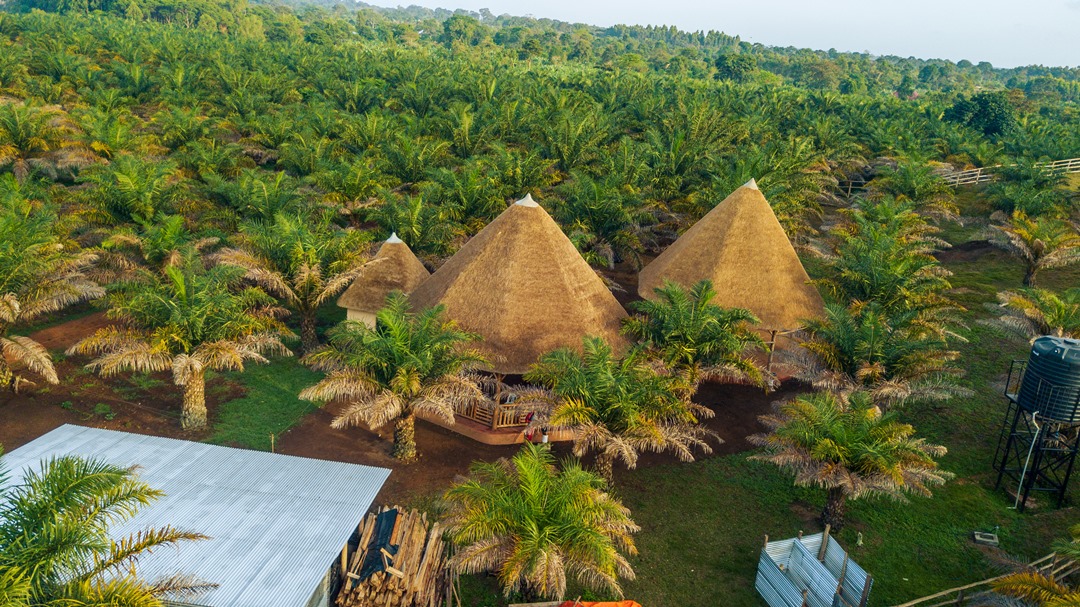 Room Exterior Photo Bugoma Sand Beach Kalangala Central Region 1