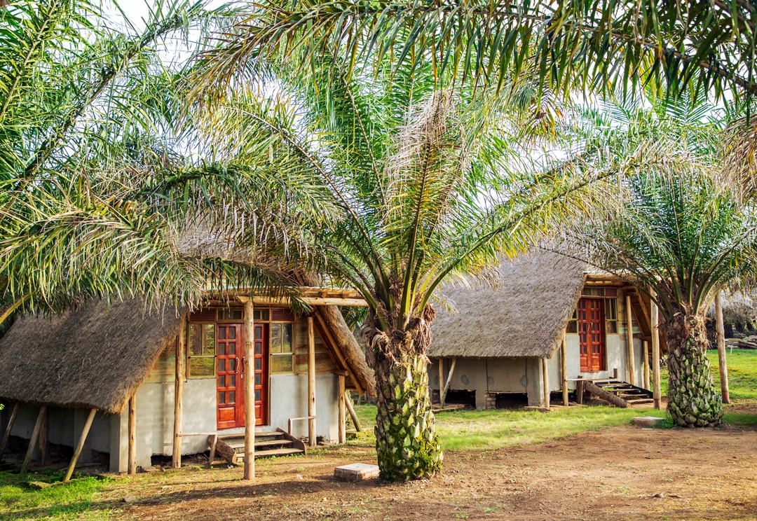 Room Exterior Photo Bugoma Sand Beach Kalangala Central Region