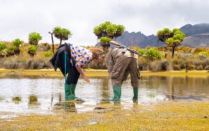 A photogragh of a Ranger guide and tourist at Jacksons Pool during the Uganda hiking and walking tour in Mount Elgon National Park located both in Uganda and Kenya.