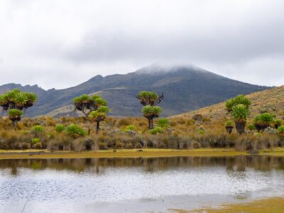 A photogragh of the Jackson pool and the Mount Elgon ranges captured in Mount Elgon National Park located both in Uganda and Kenya.
