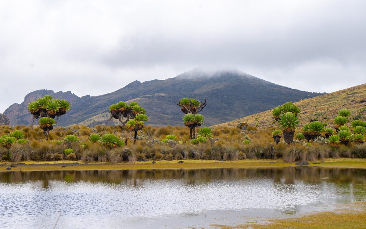 A photogragh of the Jackson pool and the Mount Elgon ranges captured in Mount Elgon National Park located both in Uganda and Kenya.